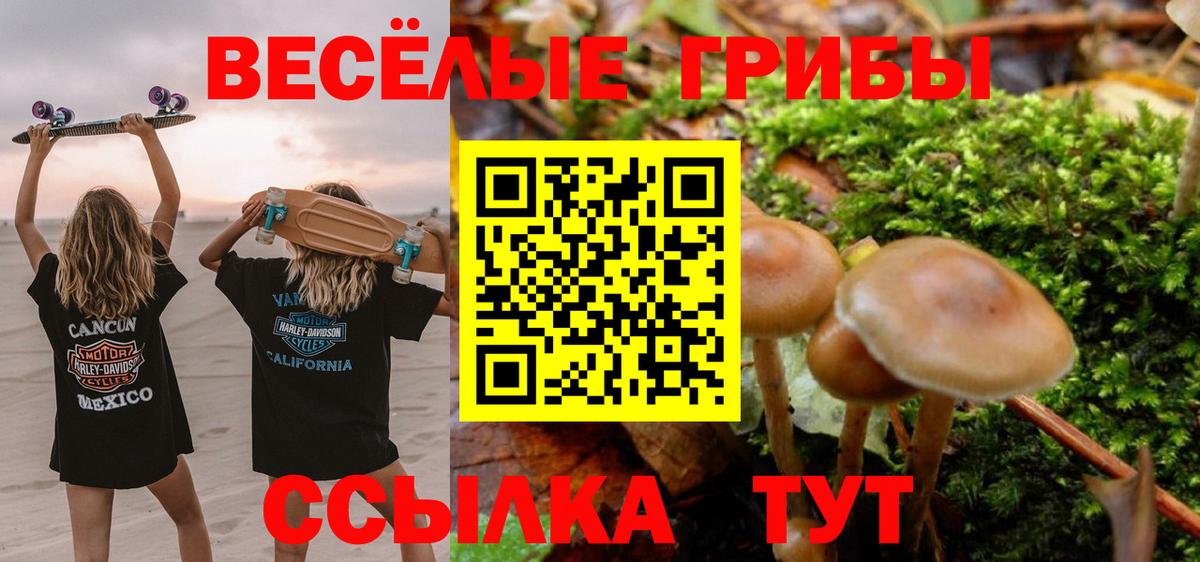 Псилоцибиновые грибы мухоморы  Вход с VPN  Вичуга 
